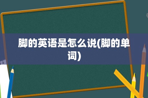 脚的英语是怎么说(脚的单词)