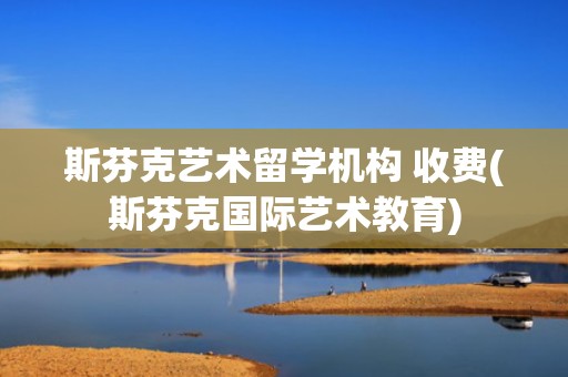 斯芬克艺术留学机构 收费(斯芬克国际艺术教育)