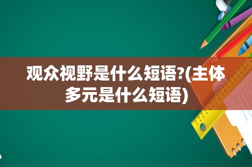 观众视野是什么短语?(主体多元是什么短语)