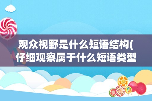 观众视野是什么短语结构(仔细观察属于什么短语类型)