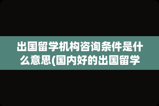 出国留学机构咨询条件是什么意思(国内好的出国留学机构)