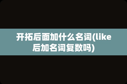 开拓后面加什么名词(like后加名词复数吗)