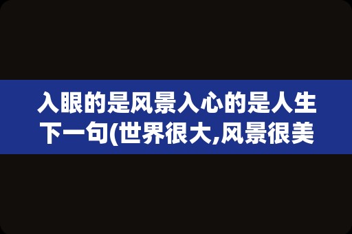 入眼的是风景入心的是人生下一句(世界很大,风景很美,人生很短)