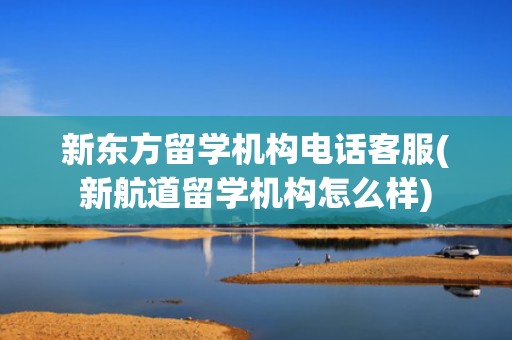 新东方留学机构电话客服(新航道留学机构怎么样)