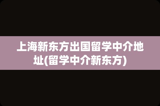 上海新东方出国留学中介地址(留学中介新东方)