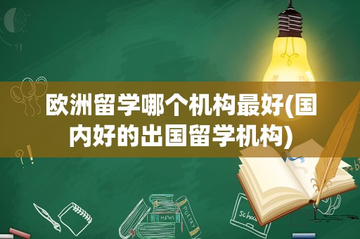 欧洲留学哪个机构最好(国内好的出国留学机构)