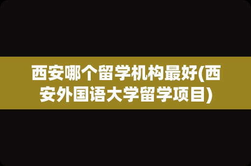 西安哪个留学机构最好(西安外国语大学留学项目)