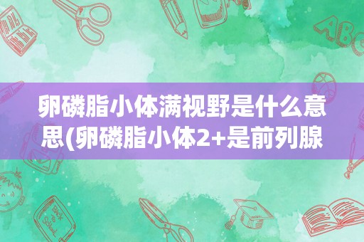 卵磷脂小体满视野是什么意思(卵磷脂小体2+是前列腺炎吗)