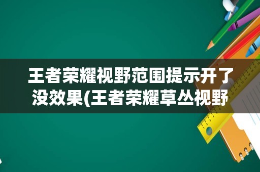 王者荣耀视野范围提示开了没效果(王者荣耀草丛视野规则)