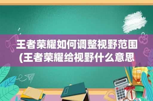 王者荣耀如何调整视野范围(王者荣耀给视野什么意思)