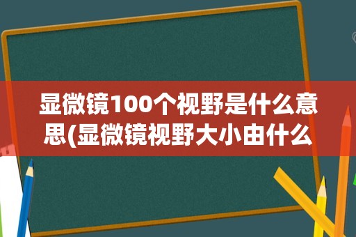 显微镜100个视野是什么意思(显微镜视野大小由什么决定)