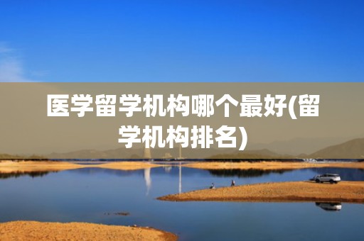 医学留学机构哪个最好(留学机构排名)