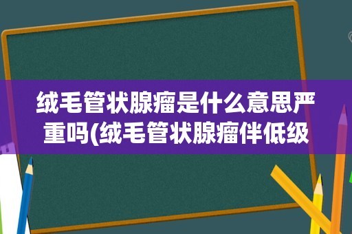 绒毛管状腺瘤是什么意思严重吗(绒毛管状腺瘤伴低级别上皮内瘤变)