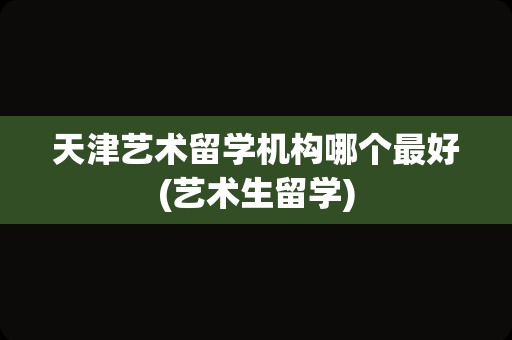 天津艺术留学机构哪个最好(艺术生留学)