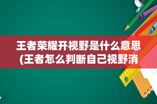 王者荣耀开视野是什么意思(王者怎么判断自己视野消失)