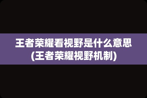 王者荣耀看视野是什么意思(王者荣耀视野机制)