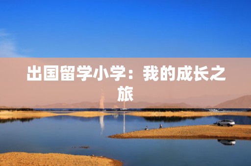 出国留学小学：我的成长之旅