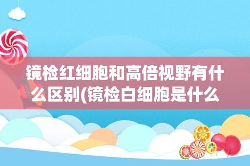镜检红细胞和高倍视野有什么区别(镜检白细胞是什么意思)