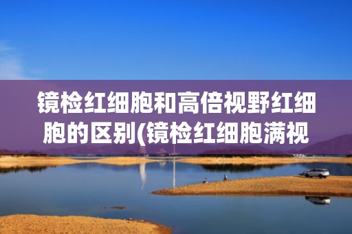 镜检红细胞和高倍视野红细胞的区别(镜检红细胞满视野是什么意思)