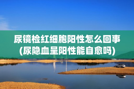 尿镜检红细胞阳性怎么回事(尿隐血呈阳性能自愈吗)