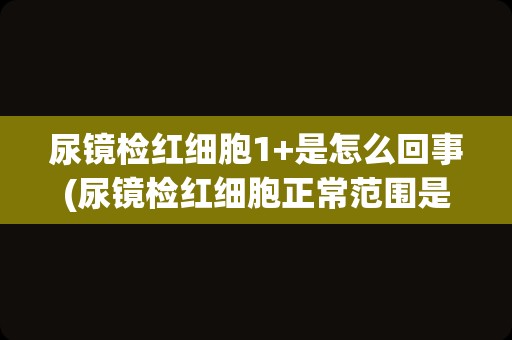 尿镜检红细胞1+是怎么回事(尿镜检红细胞正常范围是多少)