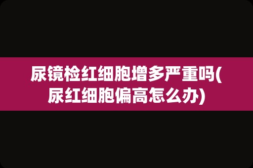 尿镜检红细胞增多严重吗(尿红细胞偏高怎么办)