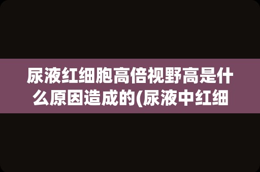 尿液红细胞高倍视野高是什么原因造成的(尿液中红细胞高是怎么回事)