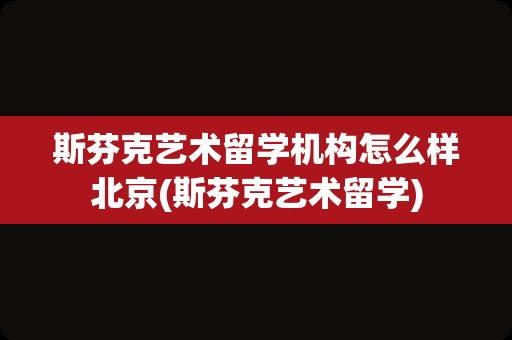 斯芬克艺术留学机构怎么样北京(斯芬克艺术留学)