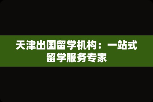 天津出国留学机构：一站式留学服务专家