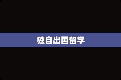独自出国留学