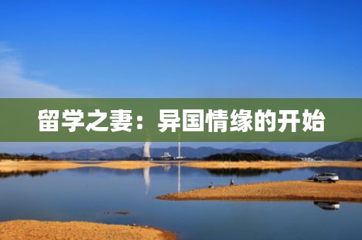 留学之妻：异国情缘的开始