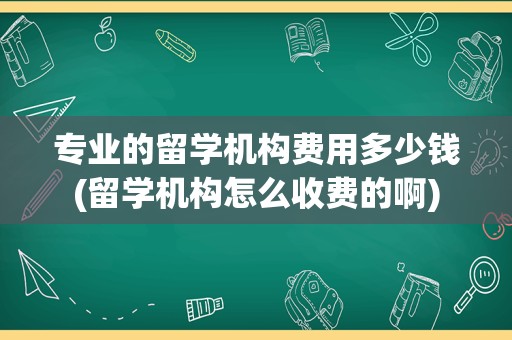 专业的留学机构费用多少钱(留学机构怎么收费的啊)