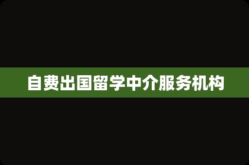 自费出国留学中介服务机构
