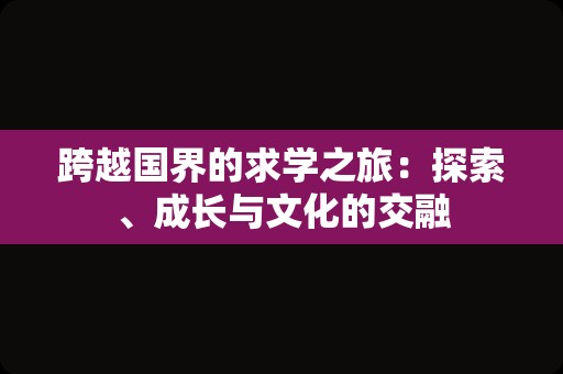 跨越国界的求学之旅：探索、成长与文化的交融