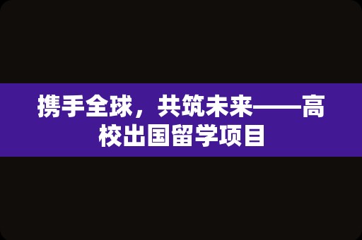 携手全球，共筑未来——高校出国留学项目