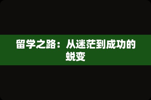 留学之路：从迷茫到成功的蜕变