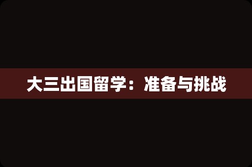 大三出国留学：准备与挑战