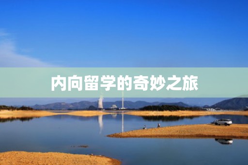 内向留学的奇妙之旅