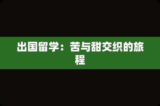出国留学：苦与甜交织的旅程