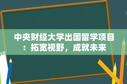 中央财经大学出国留学项目：拓宽视野，成就未来