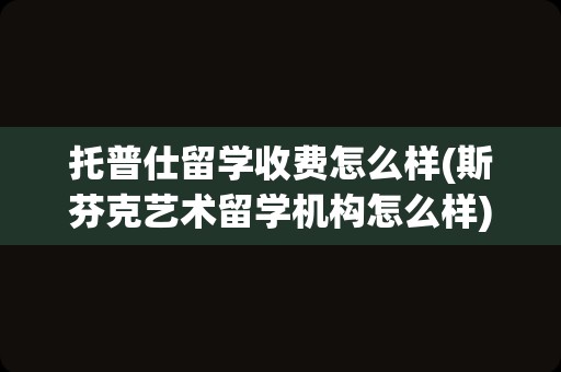 托普仕留学收费怎么样(斯芬克艺术留学机构怎么样)