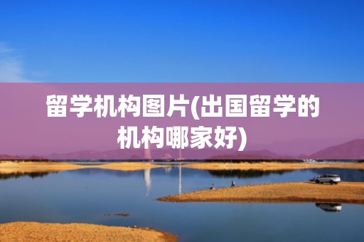 留学机构图片(出国留学的机构哪家好)
