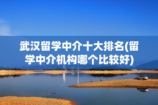 武汉留学中介十大排名(留学中介机构哪个比较好)