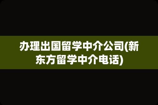 办理出国留学中介公司(新东方留学中介电话)