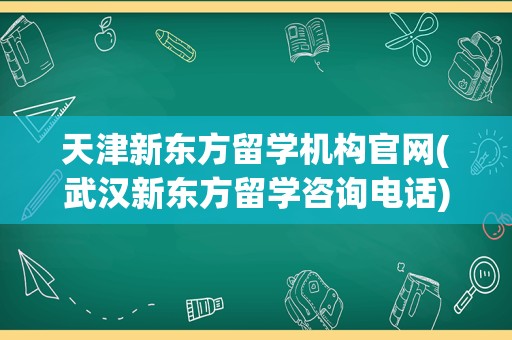 天津新东方留学机构官网(武汉新东方留学咨询电话)