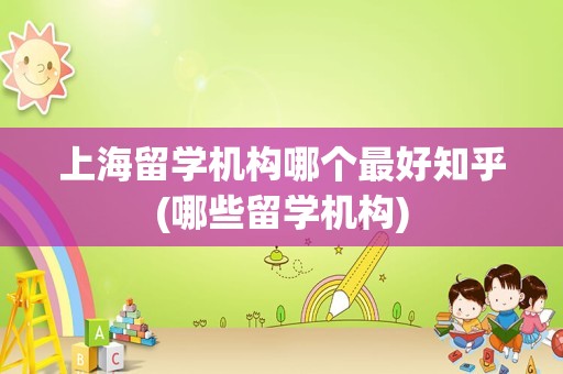 上海留学机构哪个最好知乎(哪些留学机构)