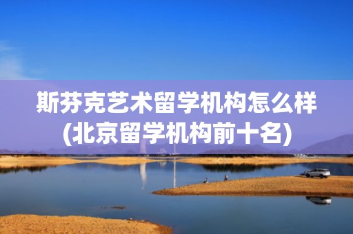 斯芬克艺术留学机构怎么样(北京留学机构前十名)
