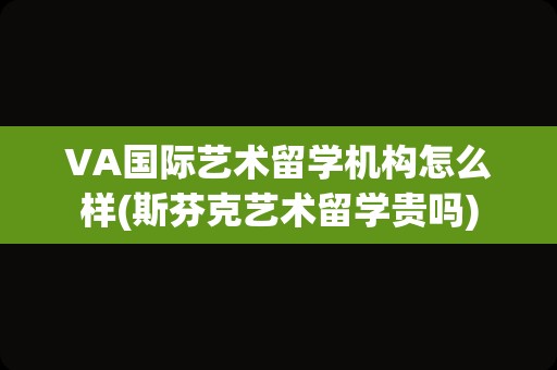 VA国际艺术留学机构怎么样(斯芬克艺术留学贵吗)