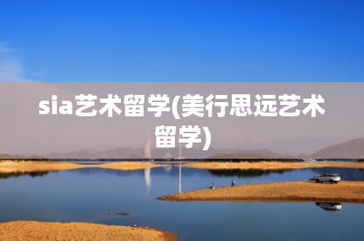 sia艺术留学(美行思远艺术留学)