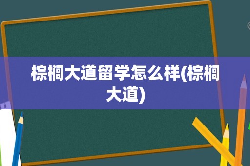 棕榈大道留学怎么样(棕榈大道)